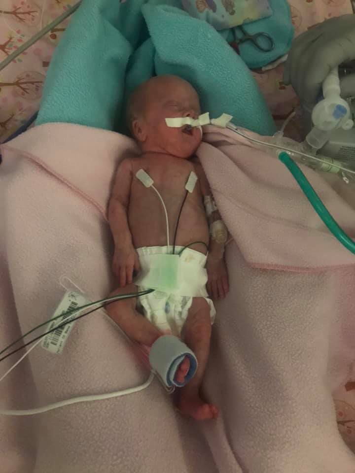 kambry50days3.jpg